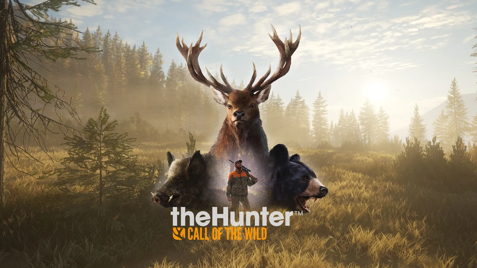 thehunter call of the wild rog ally game settings